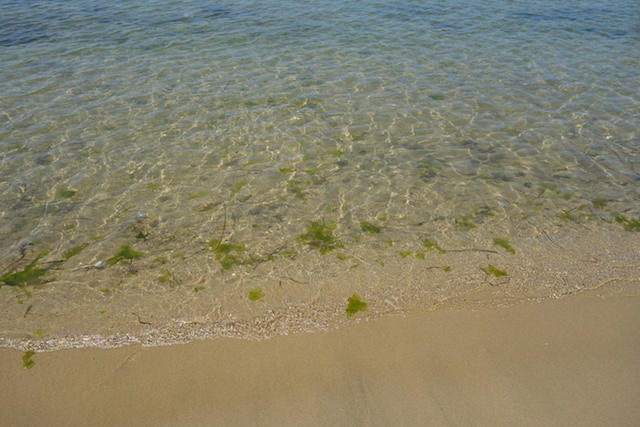 多賀の浜海水浴場の水質